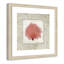 Avaleen «Coral Linen I», reproduction de peinture à l'acrylique encadrée