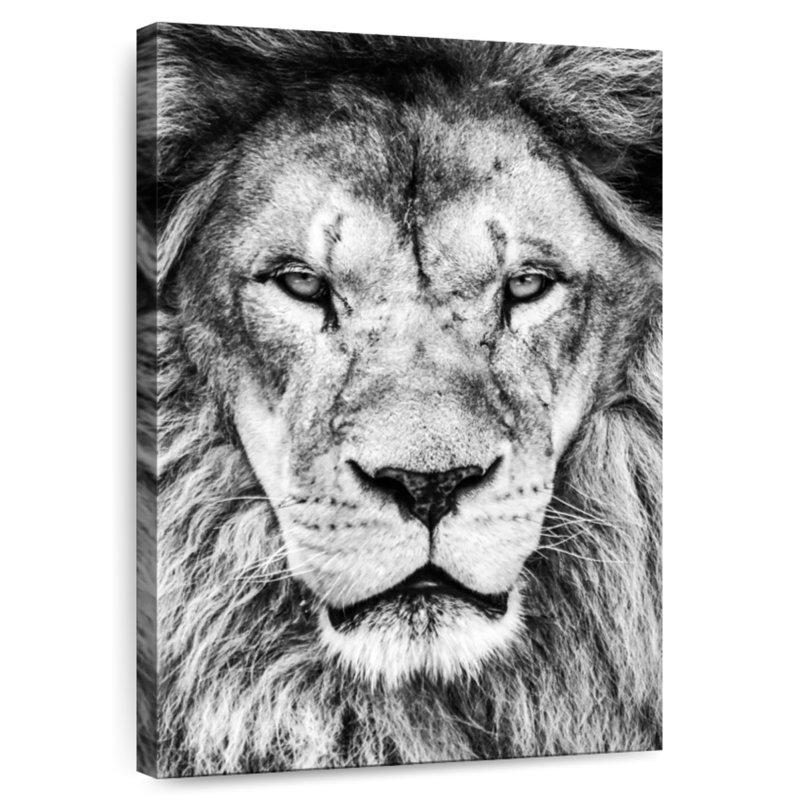 Brampt Monochrome Lion Head, 30" H x 20" W