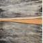Oasis 1 2022 Print by Ronen Azulay