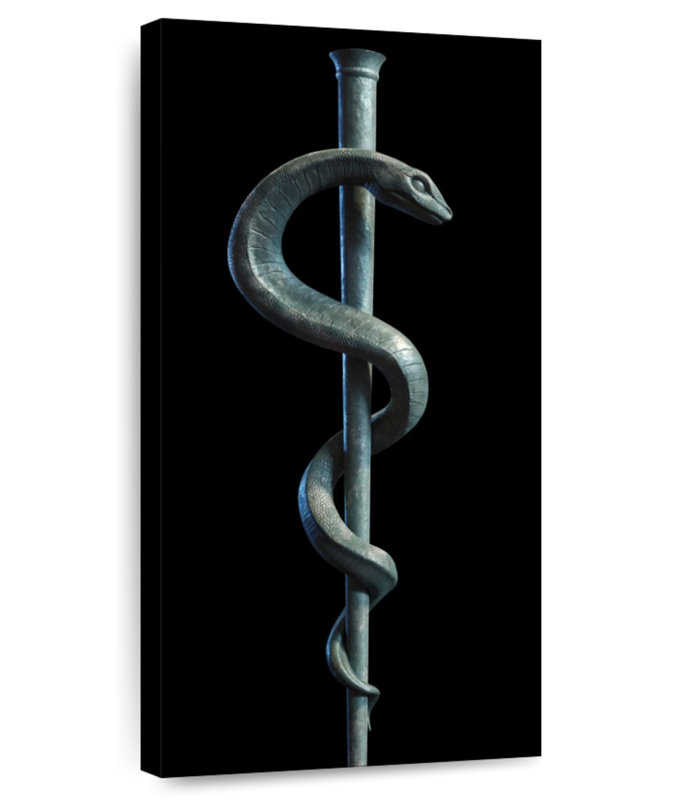 Medical Snake Symbol