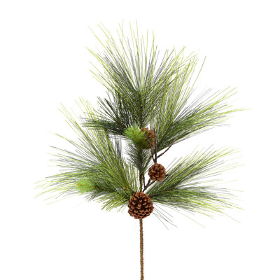 Jet de pin Boulder