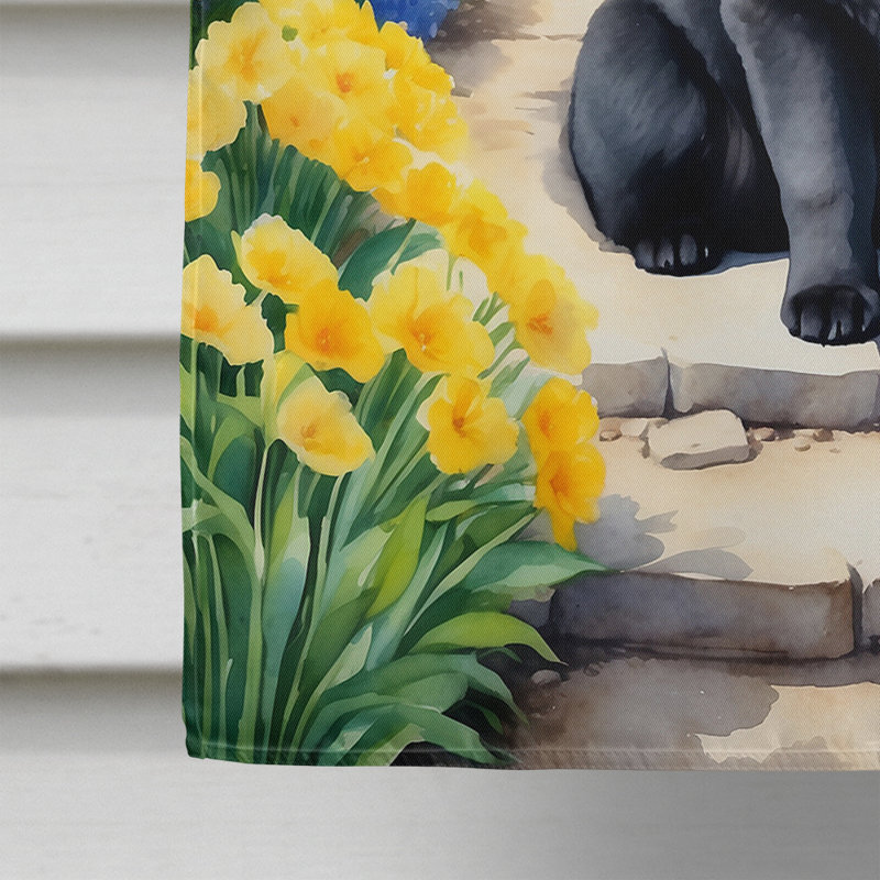 Taishia Double Sided 40'' H x 28'' W Polyester House Flag