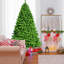 Arbre de Noël pin vert-529796853