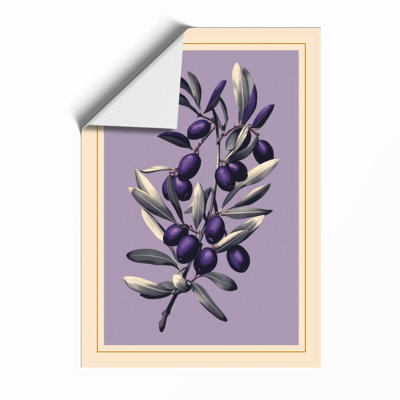 Olive Branch Study Botanical - Framed Print