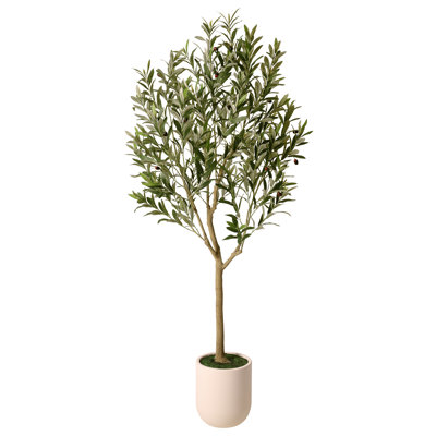 Ashwell Faux Olive Tree