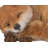 Fox Pup Sleeping Statue
