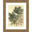 «Weathered Maple Leaves No. 2» par Gerard Paul Deshayes, reproduction d'art encadrée sur bois-938976942-938976939
