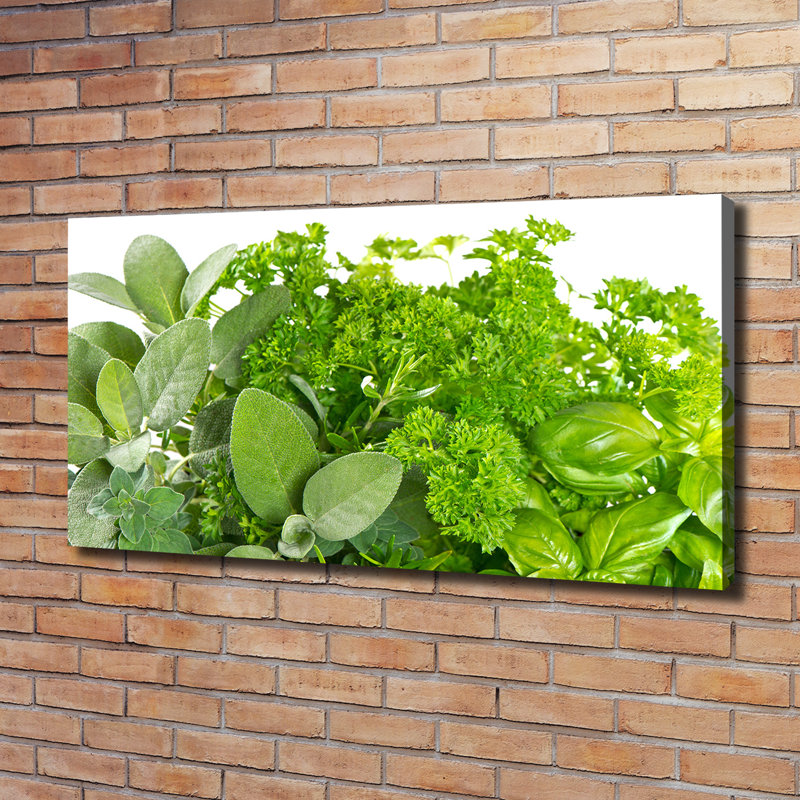 Herbs - Wrapped Canvas Print
