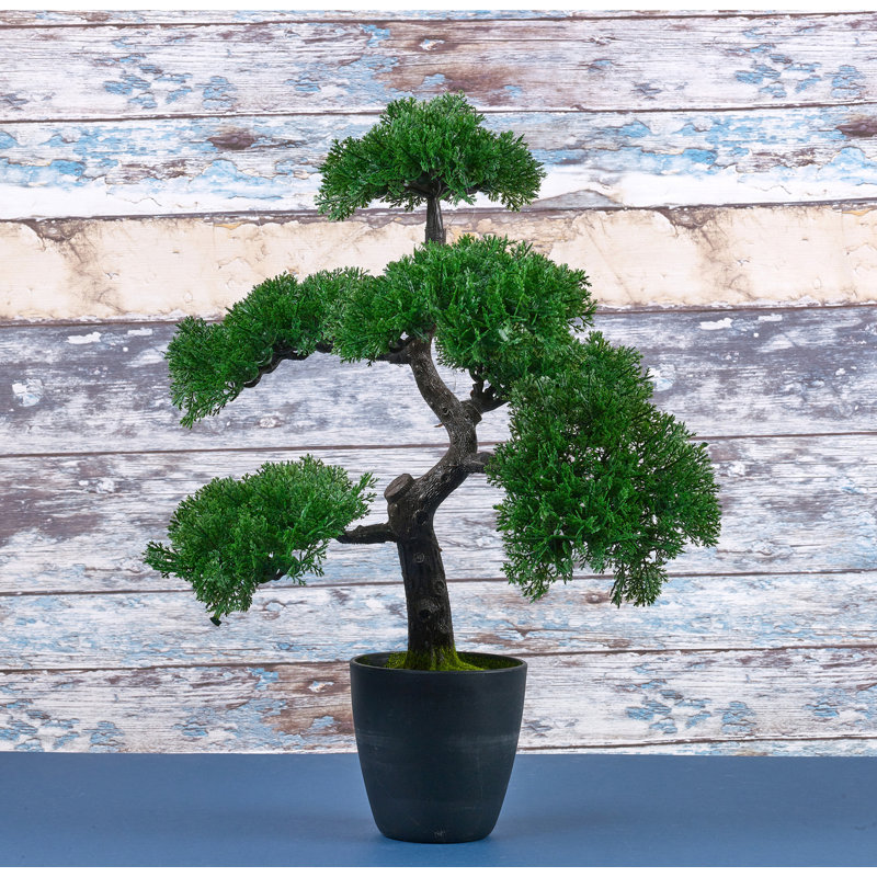 49cm Faux Bonsai Plant in Planter
