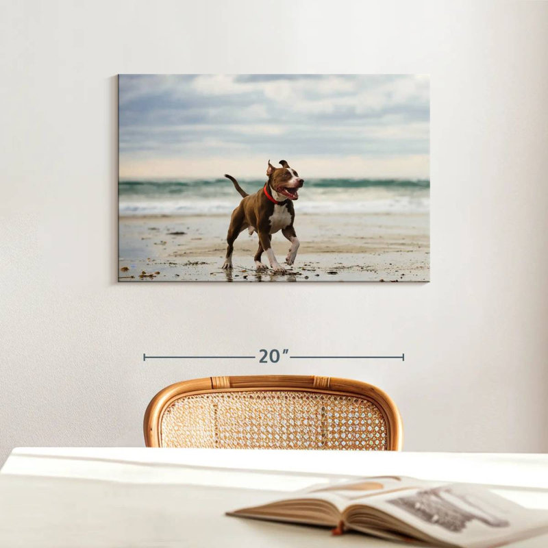 Brampt Pit Bull On Beach, 16" H x 24" W