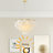 6-Light Dimmable Capiz Shell Chandelier