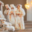 Crèche de Noël de Noël