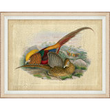 Pheasant Collection 2 Print