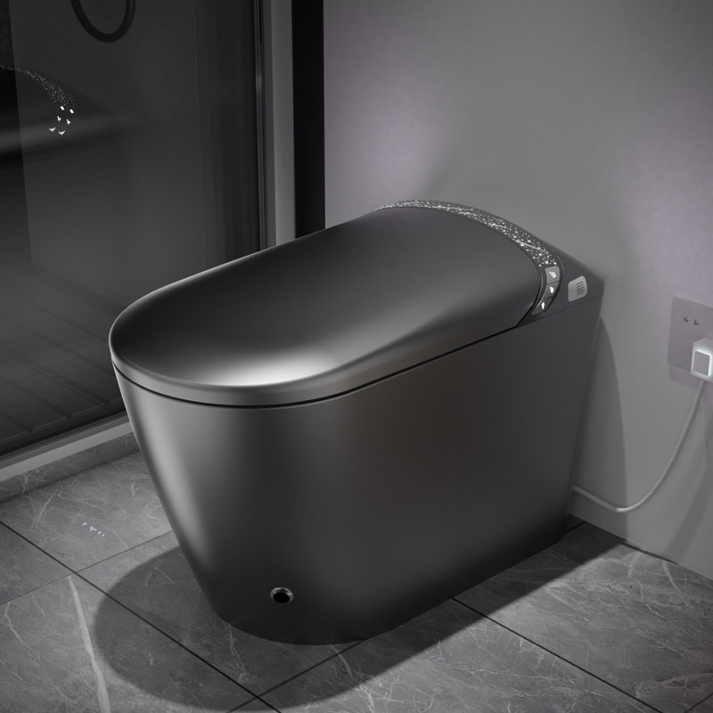Toilette intelligente avec nuit étoilée et bidet, conception de salle de bain moderne, ouverture / fermeture automatique du siège, capteur de pied pour chasse d'eau, affichage à DEL, séchage à l'air chaud, gris mat - télécommande