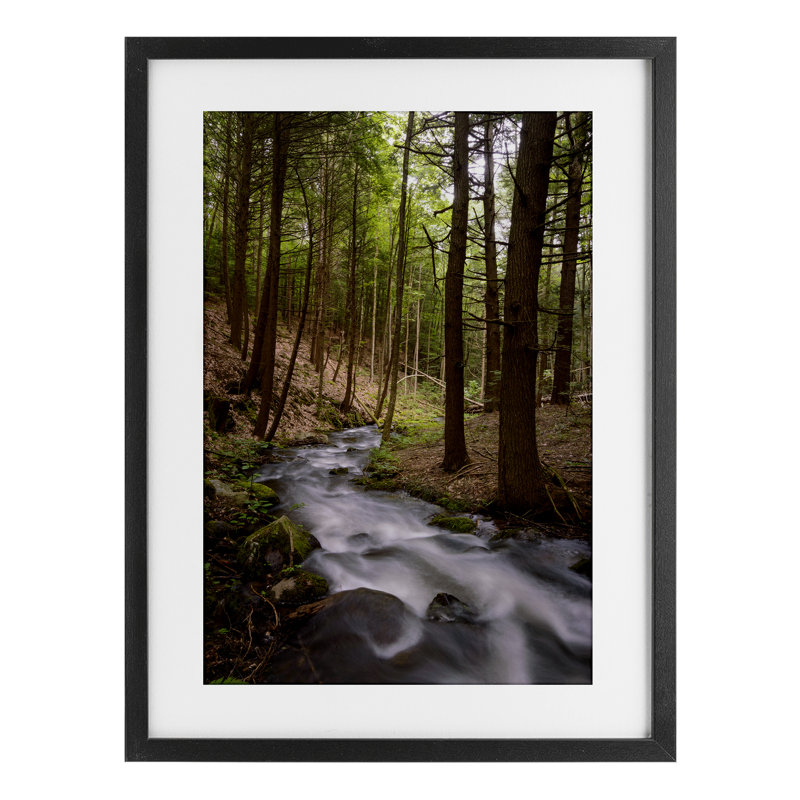 «Mist In The Adirondacks», reproduction d'art sous verre encadrée par James Rodewald, H 20 po x l 14 po, Cadre noir minuit
