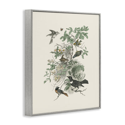 Oiseaux variés dans la nature rétro, estampe numérique, design par Wild Apple Portfolio
