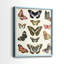 Impression encadrée Flutterbys I-Premium - prête à être accrochée - aucun clou requis - aucun clou requis-1080437602-1080437607