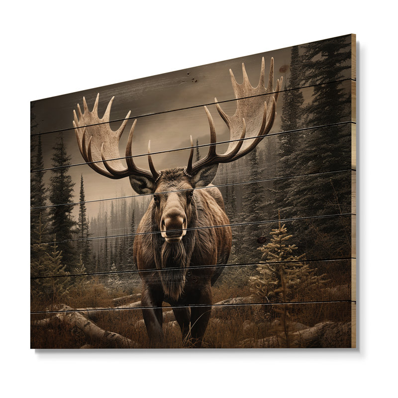 «Brown Moose Majestic», reproduction sur bois, H 24 po x l 32 po x P 0,78 po