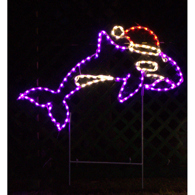Orca avec un chapeau de Père Noël