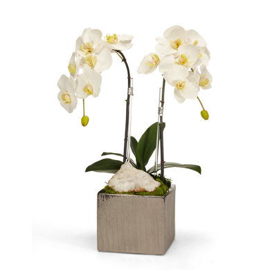 Orchid Faux Floral in Planter