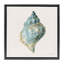 Cadre flottant Coastal Bliss Conch Shell, design par Danhui Nai-1439757752-1439757755