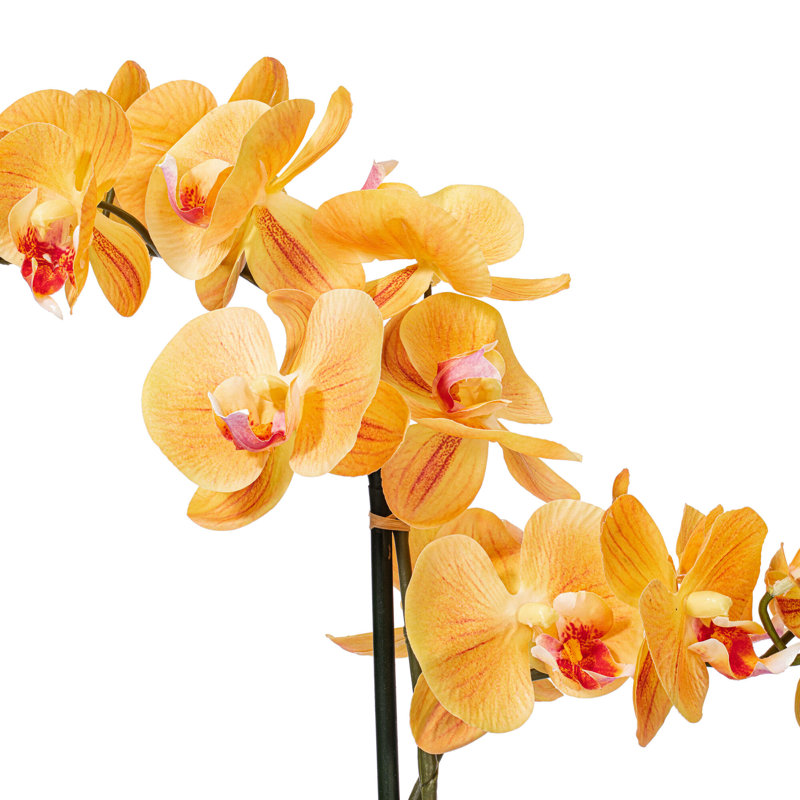 Phalaenopsis artificiel en pot 22 po Karelis, Corail