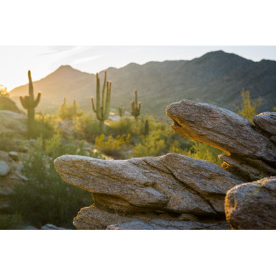 Walking Through South Mountain Park 1 Piece Wrapped Canvas Wall Art