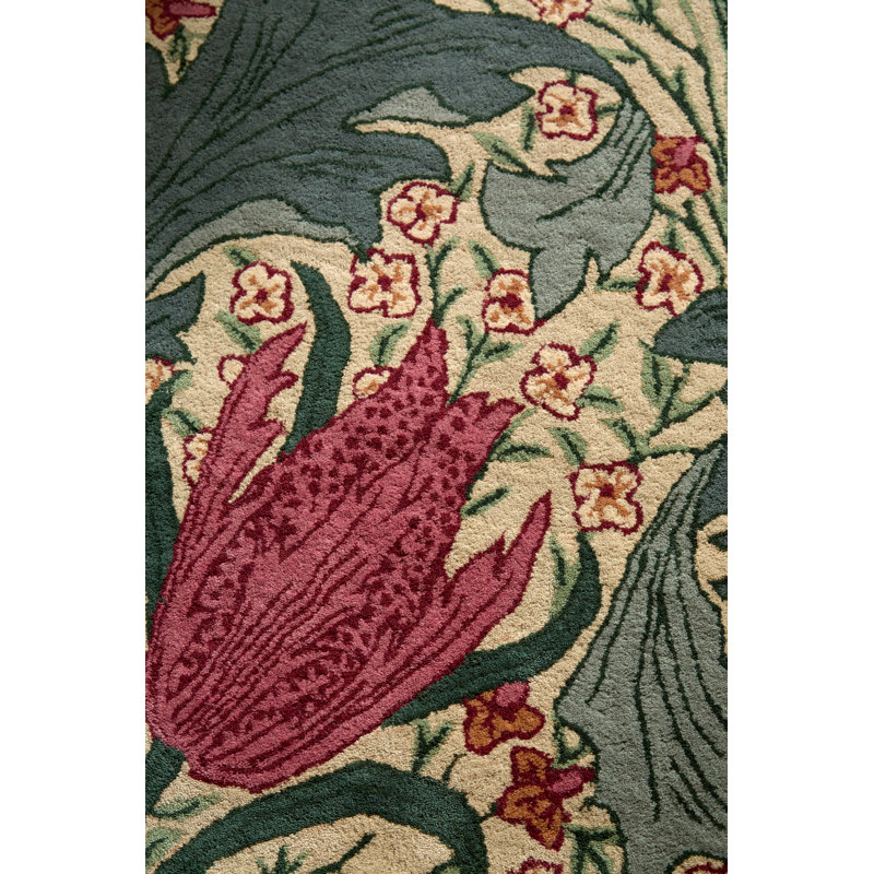 MORHUN Lent, Plum;Bayleaf, Rectangle 4'7 x 6'7