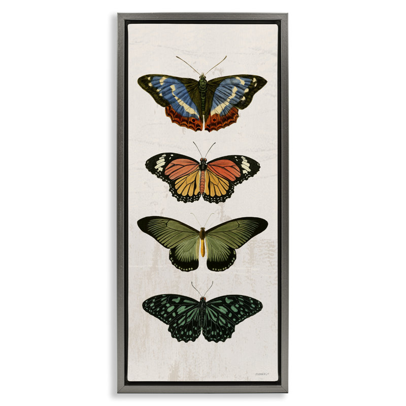 Cadre flottant rétro Butterfly, par Dan Meneely, H 31 po x l 15 po, Cadre flottant gris lustré