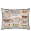 Butterfly Studies Parchment Decorative Pillow