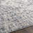 Oriental Indoor Rug-1723030775