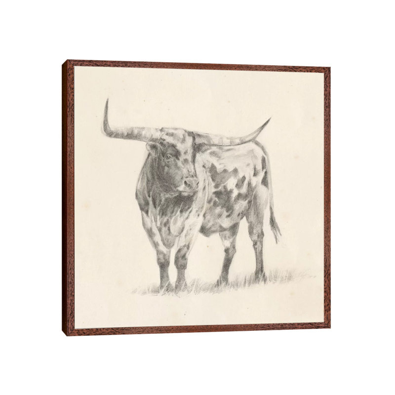 Longhorn Steer Sketch II by Ethan Harper - Single Picture Frame Giclée Art Print on Canvas, Brown Framed Canvas