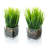 7.87 " H Faux Onion Grass in Glass Vase