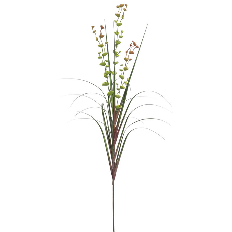 Herbe, poinsettia floral