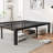Roseann 18'' Heavy Duty Steel Platform Bed Frame with Round Corners, No Box Spring Needed, Noise Free-610621796