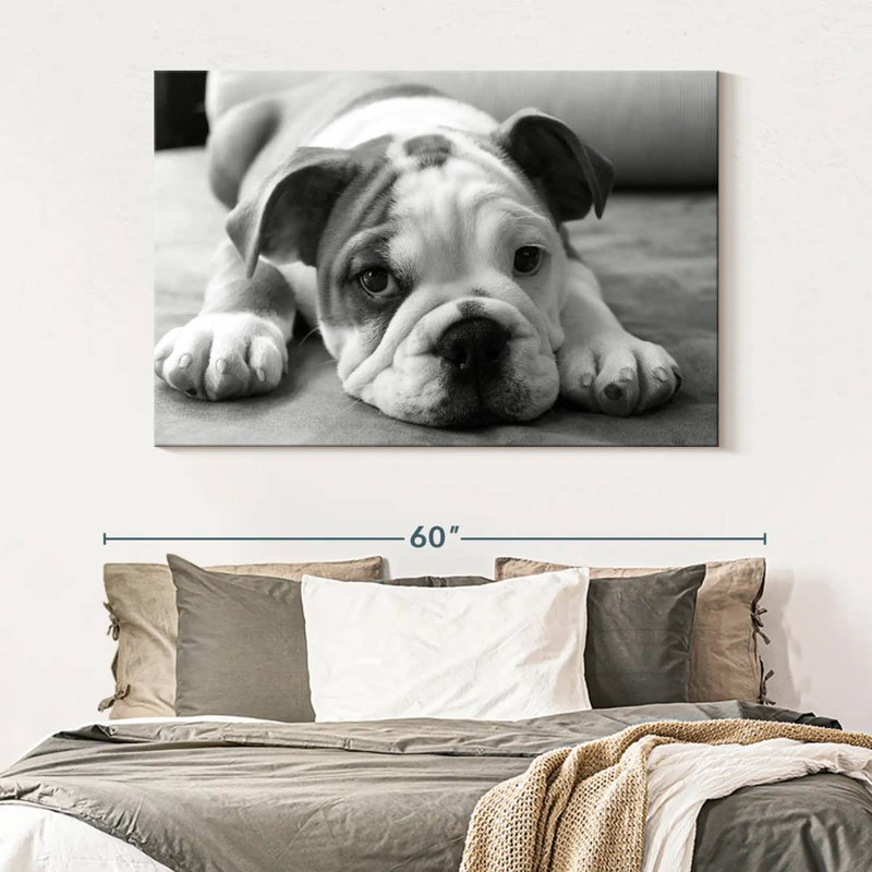 Brampt Bodhi, 34" H x 51" W