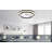 Daeron 20'' Flush Mount Ceiling Fan with LED Lights and Remote & APP Control