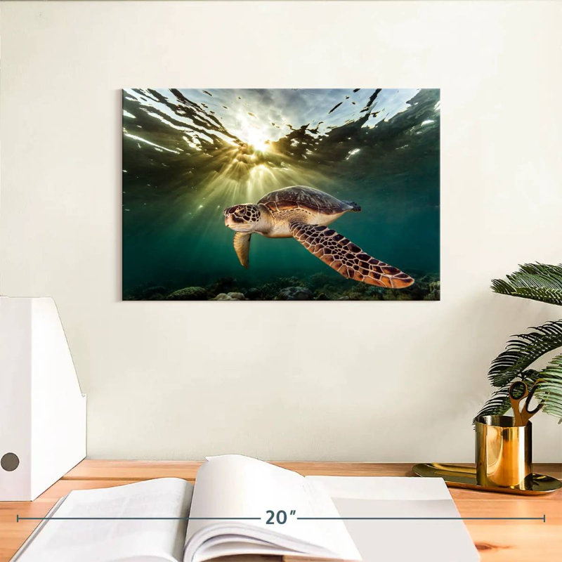 Brampt Philippine Green Turtle, 8" H x 12" W