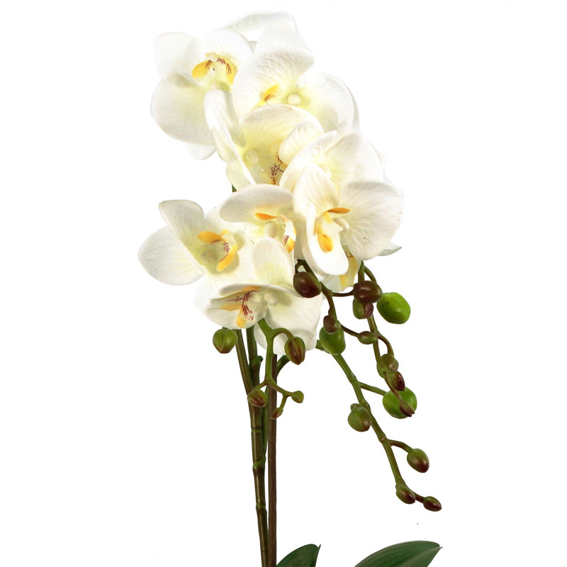 54cm Faux Plant in Pot Liner, White