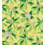 RHODODENDRON - OUTDOOR-283187205