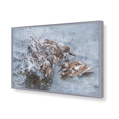«Sanderling Splash Party» par Robin-Lee Vieira, reproduction d'art