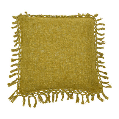 Fringed Reversible Throw Pillow