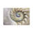 Nautilus Pearl Pebble Vegan Leather Rectangle Placemat