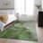 Premium Machine Washable Cerrito AMF524 Olive Rug-103957758
