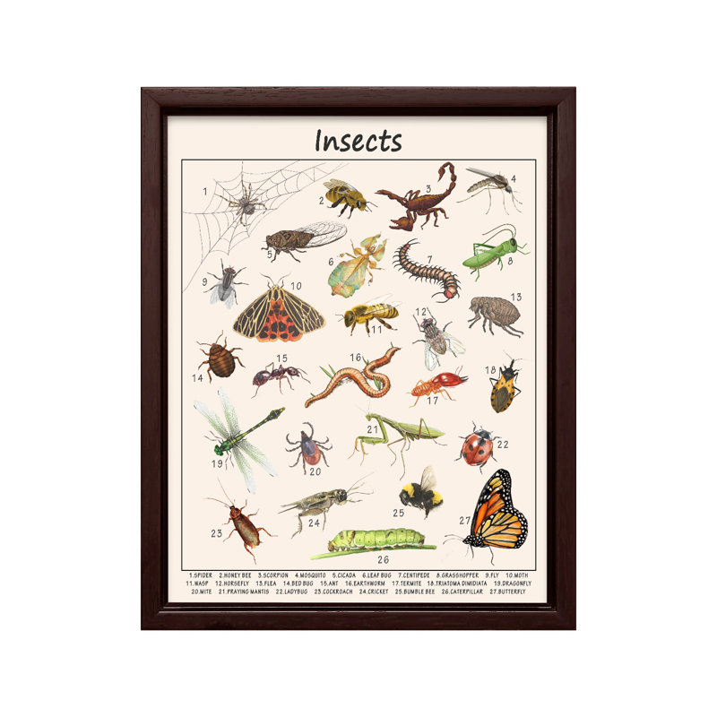 Insectes, Canvas, 11"H x 14"W, Brown Framed