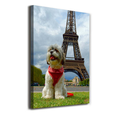 Dog In Paris - Wrapped Canvas Print