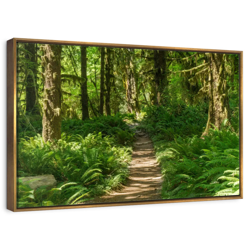 Hoh Rainforest Path, Cadre flottant doré, 31 po x 21 po