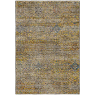Premium Machine Washable Tirico ATI21 Traditional Rug