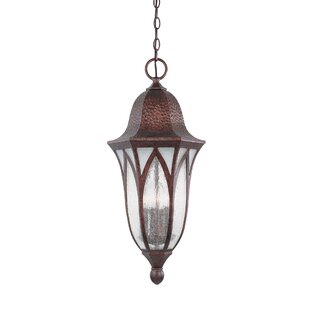 https://assets.wfcdn.com/im/44614846/resize-h310-w310%5Ecompr-r85/1094/109409260/charlbury-4-light-outdoor-hanging-lantern.jpg