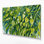 Art mural sur toile vert, légumes, cresson capucine